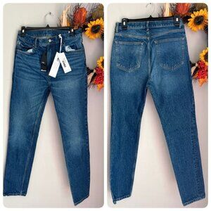Boyish The ZACHARY Sz 27 High Rise Skinny Fit Stretch Denim in ZIGGY CARPENTER